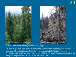 # 13 Od roku 1987 bolo viac ako 4 mili ó ny akrov  smrekov na Aljaške poškodených kôrovc om  ( Dendroctonus rufipennis ) – > posun vegeta čných zón na sever Podľa niektorých štúdií (napr.  Levis et al. 2000, J. Clim. ) môže posun lesa výrazne ovplyvniť otepľovanie – o 1.1 – 1.6°C do roku 2100.  Zdroj:  www.worldviewofglobalwarming.org  