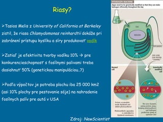 Riasy? Tasios Melis z  University of California at Berkeley   zistil, že riasa  Chlamydomonas reinhardtii  dokáže pri zabránení prístupu kyslíku a síry produkovať  vodík Zatiaľ je efektivita tvorby vodíku 10%     pre konkurencieschopnosť s fosílnymi palivami treba  dosiahnu ť 50% (genetickou manipuláciou..?) Podľa výpočtov je potreba plochu iba 25 000 km2  (asi 10% plochy pre pestovanie sóje) na nahradenie fosílnych palív pre autá v USA Zdroj:  NewScientist 