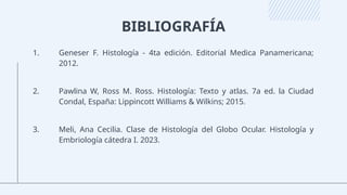 BIBLIOGRAFÍA
1. Geneser F. Histología - 4ta edición. Editorial Medica Panamericana;
2012.
2. Pawlina W, Ross M. Ross. Histología: Texto y atlas. 7a ed. la Ciudad
Condal, España: Lippincott Williams & Wilkins; 2015.
3. Meli, Ana Cecilia. Clase de Histología del Globo Ocular. Histología y
Embriología cátedra I. 2023.
 