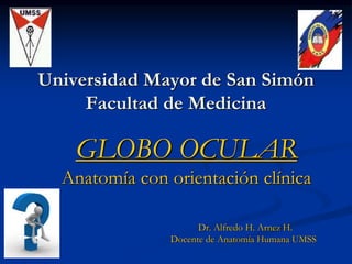 Universidad Mayor de San Simón
Facultad de Medicina
GLOBO OCULAR
Anatomía con orientación clínica
Dr. Alfredo H. Arnez H.
Docente de Anatomía Humana UMSS
 