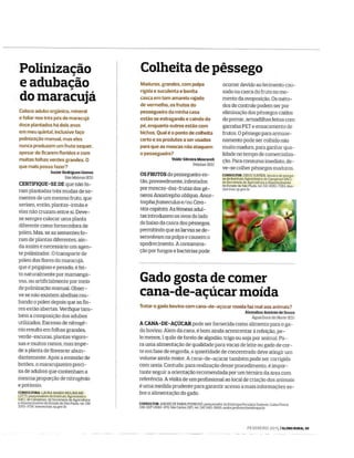 Globo rural responde carta à leitor sobre pêssego e maracujá