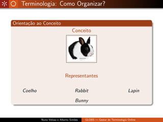 Globs - Gestão de Glossários