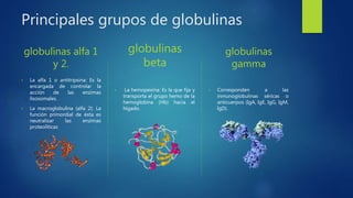 Principales grupos de globulinas
globulinas alfa 1
y 2.
• La alfa 1 o antitripsina: Es la
encargada de controlar la
acción de las enzimas
lisosomales.
• La macroglobulina (alfa 2): La
función primordial de ésta es
neutralizar las enzimas
proteolíticas
globulinas
beta
• La hemopexina: Es la que fija y
transporta el grupo hemo de la
hemoglobina (Hb) hacia el
hígado.
globulinas
gamma
• Corresponden a las
inmunoglobulinas séricas o
anticuerpos (IgA, IgE, IgG, IgM,
IgD).
 