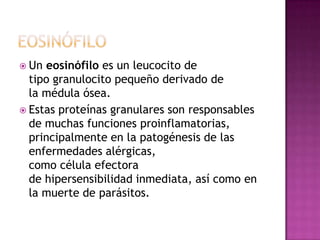  Un eosinófilo es un leucocito de
  tipo granulocito pequeño derivado de
  la médula ósea.
 Estas proteínas granulares son responsables
  de muchas funciones proinflamatorias,
  principalmente en la patogénesis de las
  enfermedades alérgicas,
  como célula efectora
  de hipersensibilidad inmediata, así como en
  la muerte de parásitos.
 