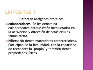 Detectan antígenos proteicos
 colaboradores: Se les denomina
  colaboradores porque están involucrados en
  la activación y dirección de otras células
  inmunitarias.
 Killers: No tienen marcadores característicos.
  Participan en la inmunidad, con la capacidad
  de reconocer lo "propio" y también tienen
  propiedades líticas.
 
