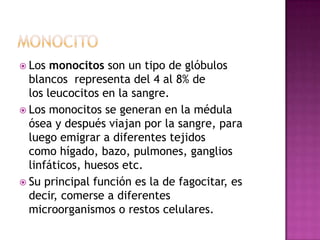  Los  monocitos son un tipo de glóbulos
  blancos representa del 4 al 8% de
  los leucocitos en la sangre.
 Los monocitos se generan en la médula
  ósea y después viajan por la sangre, para
  luego emigrar a diferentes tejidos
  como hígado, bazo, pulmones, ganglios
  linfáticos, huesos etc.
 Su principal función es la de fagocitar, es
  decir, comerse a diferentes
  microorganismos o restos celulares.
 