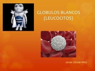 GLOBULOS BLANCOS 
(LEUCOCITOS) 
Javier Zárate Mitzi 
 