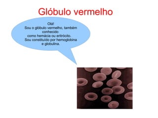 Glóbulo   vermelho Olá! Sou o glóbulo vermelho, também conhecido  como hemácia ou eritrócito.  Sou constituído por hemoglobina e globulina. 