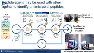 PMC Agent BC-BRC
Agent
Generate additional
experiments?
?
Set of
peptides as
input
Query PubMed for
ChatGPT feedstock
Align proteins, predict
structure, rank results
Evaluate structures
and filter results
UniProt
Agent
Peptide agent may be used with other
agents to identify antimicrobial peptides
Agents run on
HPC/AI resources
Self-driving lab performs experiments
Candidates for
experimental
evaluation
 