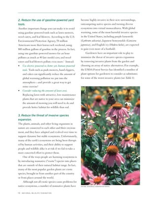 2. Reduce the use of gasoline-powered yard                  become highly invasive in their new surroundings,
tools.                                                      outcompeting native species and turning diverse
Another important change you can make is to avoid           ecosystems into virtual monocultures. With global
using gasoline-powered tools such as lawn mowers,           warming, some of the most harmful invasive species
weed eaters, and leaf blowers. According to the U.S.        in the United States, including purple loosestrife
Environmental Protection Agency, 54 million                 (Lythrum salicaria), Japanese honeysuckle (Lonicera
Americans mow their lawns each weekend, using               japonica), and English ivy (Hedera helix), are expected
800 million gallons of gasoline in the process. In fact,    to gain even more of a foothold.
using one gasoline-powered mower for an hour                     Gardeners have an important role to play to
pollutes as much as 40 late-model cars; and weed            minimize the threat of invasive species expansion
eaters and leaf blowers pollute even more.4 Instead:        by removing invasive plants from the garden and
• Use electric-powered or, better yet, human-powered        choosing an array of native alternatives. For example,
    tools. Tools such as push mowers, hand clippers,        the USDA Forest Service has identified a number of
    and rakes can significantly reduce the amount of        plant options for gardeners to consider as substitutes
    global warming pollution we put into the                for some of the worst invasive plants (see Table 1).
    atmosphere—and provide a great way to get
    some exercise!
• Consider reducing the amount of lawn area.
    Replacing lawn with attractive, low-maintenance
    plants that are native to your area can minimize
    the amount of mowing you will need to do and
    provide better habitat for wildlife than sod.

3. Reduce the threat of invasive species
expansion.
The plants, animals, and other living organisms in
nature are connected to each other and their environ-
ment, and they have adapted and evolved over time to
support dynamic but stable ecosystems. Unfortunately,
many of the earth’s ecosystems are being been disrupt-
ed by human activities, and their ability to support
people and wildlife alike is at risk if we fail to take a
more concerted effort to protect them.
     One of the ways people are harming ecosystems is
by introducing nonnative (“exotic”) species into places
that are outside of their natural habitat range. In fact,
many of the most popular garden plants are exotic
species, brought in from another part of the country
or from places around the world.
     Although not all exotic species cause problems for
native ecosystems, a number of nonnative plants have        NATURAL RESOURCES CONSERVATION SERVICE




10   N AT I O N A L W I L D L I F E F E D E R AT I O N
 