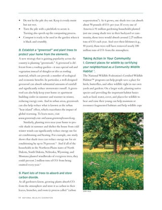 •     Do not let the pile dry out. Keep it evenly moist   sequestration”). As it grows, one shade tree can absorb
      but not wet.                                        about 50 pounds of CO2 per year. If every one of
•     Turn the pile with a pitchfork to aerate it.        America’s 91 million gardening households planted
      Turning also speeds up the composting process.      just one young shade tree in their backyard or com-
•     Compost is ready to be used in the garden when it   munity, those trees would absorb around 2.25 million
      is black and crumbly.                               tons of CO2 each year. And over their lifetimes (e.g.,
                                                          40 years), those trees will have removed nearly 100
8. Establish a “greenroof” and plant trees to             million tons of CO2 from the atmosphere.
protect your home from the elements.
A new strategy that is gaining popularity across the      Taking Action in Your Community
country is planting “greenroofs.” A greenroof is dif-     1. Connect places for wildlife by certifying
ferent from a rooftop garden—it uses special soil and     your neighborhood as a Community Wildlife
vegetation instead of shingles or tiles as roofing        Habitat ™.
material, which can provide a number of ecological        The National Wildlife Federation’s Certified Wildlife
and economic benefits. In particular, a well-designed     Habitat™ program can help people save a place for
greenroof can absorb substantial amounts of rainfall      birds, butterflies, and other wildlife right in our own
and significantly reduce stormwater runoff. A green-      yards and gardens. On a larger scale, planting native
roof can also help keep your home or apartment            species and providing the important habitat basics
building cooler in summer and warmer in winter,           such as food, water, cover, and places for wildlife to
reducing energy costs. And in urban areas, greenroofs     bear and raise their young can help maintain or
can also help reduce what is known as the urban           reconnect fragmented habitats and help wildlife cope
“heat island” effect, which exacerbates the impact of
global warming. To learn more, visit
www.greenroofs.com and www.greenroofresearch.org.
     Similarly, planting trees near your home to pro-
vide shade in summer and shelter the house from cold
winter winds can significantly reduce energy use for
air conditioning and heating. For example, one study
shows that shade trees can reduce energy use for air
conditioning by up to 70 percent.10 And if all of the
households in the Northern Plains states of North
Dakota, South Dakota, Nebraska, Wyoming, and
Montana planted windbreaks of evergreen trees, they
could prevent 2 million tons of CO2 from being
emitted every year.11

9. Plant lots of trees to absorb and store
carbon dioxide.
As all gardeners know, growing plants absorb CO2
from the atmosphere and store it as carbon in their
leaves, branches, and roots (a process called “carbon     JERRY PAVIA



14   N AT I O N A L W I L D L I F E F E D E R AT I O N
 
