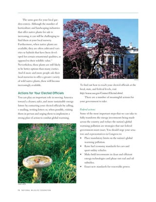 The same goes for your local gar-
den centers. Although the number of
horticulture and landscaping industries
that offer native plants for sale is
increasing, it can still be challenging to
find them at your local nursery.
Furthermore, when native plants are
available, they are often cultivated vari-
eties or hybrids that have been devel-
oped for certain ornamental qualities, as
opposed to their wildlife value.13
Nevertheless, these plants are still likely
to be better options than many exotics.
And if more and more people ask their
local nurseries to offer a greater variety
                                                                                                              ISTOCK
of wild native plants, these will become
increasingly available.                                   To find out how to reach your elected officials at the
                                                          local, state, and federal levels, visit
Actions for Your Elected Officials                        http://www.usa.gov/Contact/Elected.shtml.
You can play an important role in moving America               There are a number of meaningful actions for
toward a cleaner, safer, and more sustainable energy      your government to take:
future by contacting your elected officials by calling,
e-mailing, writing letters or, when possible, visiting    Federal actions:
them in person and urging them to implement a             Some of the most important steps that we can take to
strong plan of action to combat global warming.           fully transform the energy investments being made
                                                          across the country and reduce the nation’s global
                                                          warming pollution are strategies that our federal
                                                          government must enact. You should urge your sena-
                                                          tors and representatives in Congress to:
                                                          • Place mandatory limits on the nation’s global
                                                               warming pollution.
                                                          • Raise fuel economy standards for cars and
                                                               sport-utility vehicles.
                                                          • Make bold investments in clean and efficient
                                                               energy technologies and phase out coal and oil
                                                               subsidies.
                                                          • Enact new standards for renewable power.




JERRY PAVIA



16   N AT I O N A L W I L D L I F E F E D E R AT I O N
 