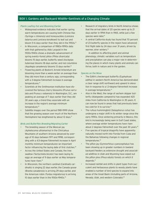 BOX 1. Gardens and Backyard Wildlife—Sentinels of a Changing Climate

 Plants Leafing Out and Blooming Earlier                       •   Research of migratory birds in North America shows
 •   Widespread evidence indicates that earlier spring             that the arrival dates of 20 species were up to 21
     warm temperatures are causing both Chinese lilac              days earlier in 1994 than in 1965, while just a few
     (Syringa x chinensis) and honeysuckles (Lonicera              species were later.41
     tatarica and Lonicera korolkowii) to leaf out and         •   A central California study has found that 70 percent
     bloom 5–6 days earlier than they did in the 1950s.33          of 23 butterfly species in the region have advanced
 •   In Wisconsin, a comparison of 1980s–1990s data                first flight date by 24 days over 31 years, driven by
     with that gathered by Aldo Leopold in the                     warmer, drier winters.42
     1930s–1940s shows a dramatic advancement of                       In addition to affecting plant and animal
     spring events—forest phlox (Phlox divaricata)                 phenology, climatic variables such as temperature
     blooms 15 days earlier, butterfly weed (Asclepias             and precipitation can play a major role in determin-
     tuberosa) blooms 18 days earlier, and red columbine           ing the places in which many plants and animals can
     (Aquilegia canadensis) blooms 13 days earlier.34              thrive, both in nature and in the garden.
 •   Flowering plants at Boston’s Arnold Arboretum are
     blooming more than a week earlier on average than         Species on the Move
     they did more than a century ago, corresponding           •   The Edith’s checkerspot butterfly (Euphydryas
     with a 3-degree Fahrenheit increase in average                editha) in western North America has demonstrated
     temperatures.35                                               a clear range shift northward and upward in eleva-
 •   Scientists at the Smithsonian Institution have dis-           tion in response to a 1.3-degree Fahrenheit increase
     covered the famous cherry blossoms (Prunus serru-             in average temperatures.43
     lata and Prunus x edoensis) in Washington, D.C., are      •   Also in the West, the range of sachem skipper but-
     peaking an average of 7 days earlier than they did            terfly (Atalopedes campestris) has expanded 420
     30 years ago, a trend they associate with an                  miles from California to Washington in 35 years. It
     increase in the region’s average minimum                      can now be found in areas that had previously been
     temperature.36                                                too cold for it to survive.44
 •   Satellite images over the period 1981–1999 show           •   The rufous hummingbird (Selasphorus rufus) has
     that the growing season over much of the Northern             undergone a major shift in its winter range since the
     Hemisphere has lengthened by about 12 days.37                 early 1990s. Once wintering primarily in Mexico, this
                                                                   bird is increasingly being seen in Gulf Coast states,
 Birds and Butterflies Breeding/Migrating Earlier                  where average winter temperatures have risen
 •   The breeding season of the Mexican jay                        about 2 degrees Fahrenheit over the past 30 years.45
     (Aphelocoma ultramarina) in the Chiricahua                •   Five species of tropical dragonfly have apparently
     Mountains of southern Arizona advanced by aver-               naturally moved north into Florida from Cuba and
     age of 10 days between 1971 and 1998, correspon-              the Bahamas following changes in regional
     ding with a 4.5-degree Fahrenheit increase in April           temperatures.46
     monthly minimum temperatures—an important                 •   The piñon jay (Gymnorhinus cyanocephalus) has
     factor influencing the laying date of first clutches.38       been showing up in greater numbers in lowland
 •   Across the United States and Canada, the tree                 backyard feeders as extensive drought and associat-
     swallow (Tachycineta bicolor) has been laying its             ed wildfires in Utah and Wyoming have wiped out
     eggs an average of 9 days earlier as May tempera-             the piñon pine (Pinus edulis) forests on which it
     tures have risen.39                                           depends.47
 •   In Wisconsin, the northern cardinal (Cardinalis car-      •   Increased rainfall and shifts in plant types from suc-
     dinalis) is singing 22 days earlier, the Canada goose         culent and herbaceous plants to woody plants have
     (Branta canadensis) is arriving 29 days earlier, and          enabled a number of bird species to expand into
     the American robin (Turdus migratorius) is arriving           areas of the Great Basin (including parts of Arizona,
     10 days earlier than in the 1930s–1940s.40                    Nevada, Utah, and western Colorado).48




24   N AT I O N A L W I L D L I F E F E D E R AT I O N
 
