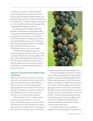 According to one study, a 5.5-degree Fahrenheit
increase in temperature could mean the difference
between aphids that produce 300,000 offspring versus
those that produce more than 1 million offspring over
a 2-month period.50 Similarly, drought-stricken plants
are more susceptible to diseases, including aspergillus
(Aspergillus flavus) and powdery mildew.51
     Garden weeds such as dandelion (Taraxacum
officinale) and lambsquarters (Chenopodium album)
are expected to benefit from global warming as well,
making the chore of weeding even more tedious.52
And those who suffer from allergies may also be dis-
appointed that global warming will exacerbate hay
fever by increasing ragweed (Ambrosia artemisiifolia)
pollen production and make poison ivy
(Toxicodendron radicans) more toxic to people.53
     The bottom line: if global warming is left
unchecked, gardeners can expect many more of these
annoying, costly, and time-consuming problems in the
future. More importantly, however, is that what may
be bad for gardens will be much worse for nature,
from the expansion of invasive nonnative species to
the disruption of ecosystems and the extinction of
                                                           ISTOCK
thousands of species.
                                                           or endangered under the Endangered Species Act.54
Expansion of Harmful Invasive Species, Pests,                   Particularly troubling is the fact that a number of
and Diseases                                               nonnative plants that people have brought into their
While weeds and pests in the garden can be frustrat-       gardens as ornamentals, including purple loosestrife
ing and time consuming to control, in nature invasive      (Lythrum salicaria), Japanese honeysuckle (Lonicera
species can wreak absolute havoc. By definition, an        japonica), and English ivy (Hedera helix), have turned
“invasive” species is a nonnative plant, animal, or        out to be some of the most highly invasive and dam-
other organism that, once introduced into a new envi-      aging species when introduced into natural habitats.
ronment, outcompetes native species for habitat and        With global warming, these and other invasive species
food. Although not all exotic species are invasive,        across the country are expected to gain even more of a
those that are can cause tremendous problems.              foothold.55 Scientists estimate that global warming
     The introduction of invasive nonnative species        will enable 48 percent of the invasive plants and ani-
into our environment has been one of the most              mals currently established in the United States to
serious and devastating threats to our native wildlife.    expand their distributions northward as climatic
According to the U.S. Fish & Wildlife Service, harm-       variables change in their favor.56
ful invasive species are believed to have contributed to        In many places, factors such as cold winter
the listing of at least 160 native species as threatened   temperatures or moisture conditions have prevented

                                                                                          THE GARDENER’S GUIDE   25
 