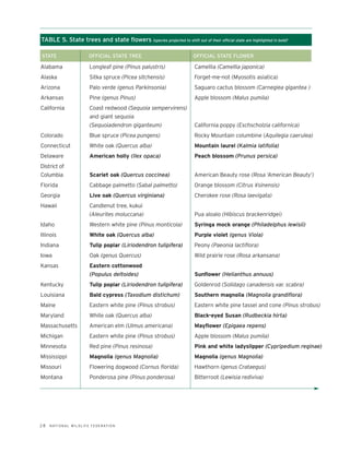 TABLE 5. State trees and state flowers (species projected to shift out of their official state are highlighted in bold)
                                                                                                                      a




STATE                             OFFICIAL STATE TREE                      OFFICIAL STATE FLOWER

Alabama                           Longleaf pine (Pinus palustris)          Camellia (Camellia japonica)
Alaska                            Sitka spruce (Picea sitchensis)          Forget-me-not (Myosotis asiatica)
Arizona                           Palo verde (genus Parkinsonia)           Saguaro cactus blossom (Carnegiea gigantea )
Arkansas                          Pine (genus Pinus)                       Apple blossom (Malus pumila)
California                        Coast redwood (Sequoia sempervirens)
                                  and giant sequoia
                                  (Sequoiadendron giganteum)               California poppy (Eschscholzia californica)
Colorado                          Blue spruce (Picea pungens)              Rocky Mountain columbine (Aquilegia caerulea)
Connecticut                       White oak (Quercus alba)                 Mountain laurel (Kalmia latifolia)
Delaware                          American holly (Ilex opaca)              Peach blossom (Prunus persica)
District of
Columbia                          Scarlet oak (Quercus coccinea)           American Beauty rose (Rosa ‘American Beauty’)
Florida                           Cabbage palmetto (Sabal palmetto)        Orange blossom (Citrus ¥sinensis)
Georgia                           Live oak (Quercus virginiana)            Cherokee rose (Rosa laevigata)
Hawaii                            Candlenut tree, kukui
                                  (Aleurites moluccana)                    Pua aloalo (Hibiscus brackenridgei)
Idaho                             Western white pine (Pinus monticola)     Syringa mock orange (Philadelphus lewisii)
Illinois                          White oak (Quercus alba)                 Purple violet (genus Viola)
Indiana                           Tulip poplar (Liriodendron tulipifera)   Peony (Paeonia lactiflora)
Iowa                              Oak (genus Quercus)                      Wild prairie rose (Rosa arkansana)
Kansas                            Eastern cottonwood
                                  (Populus deltoides)                      Sunflower (Helianthus annuus)
Kentucky                          Tulip poplar (Liriodendron tulipifera)   Goldenrod (Solidago canadensis var. scabra)
Louisiana                         Bald cypress (Taxodium distichum)        Southern magnolia (Magnolia grandiflora)
Maine                             Eastern white pine (Pinus strobus)       Eastern white pine tassel and cone (Pinus strobus)
Maryland                          White oak (Quercus alba)                 Black-eyed Susan (Rudbeckia hirta)
Massachusetts                     American elm (Ulmus americana)           Mayflower (Epigaea repens)
Michigan                          Eastern white pine (Pinus strobus)       Apple blossom (Malus pumila)
Minnesota                         Red pine (Pinus resinosa)                Pink and white ladyslipper (Cypripedium reginae)
Mississippi                       Magnolia (genus Magnolia)                Magnolia (genus Magnolia)
Missouri                          Flowering dogwood (Cornus florida)       Hawthorn (genus Crataegus)
Montana                           Ponderosa pine (Pinus ponderosa)         Bitterroot (Lewisia rediviva)




28   N AT I O N A L W I L D L I F E F E D E R AT I O N
 