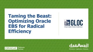 Taming the Beast:
Optimizing Oracle
EBS for Radical
Efficiency
 