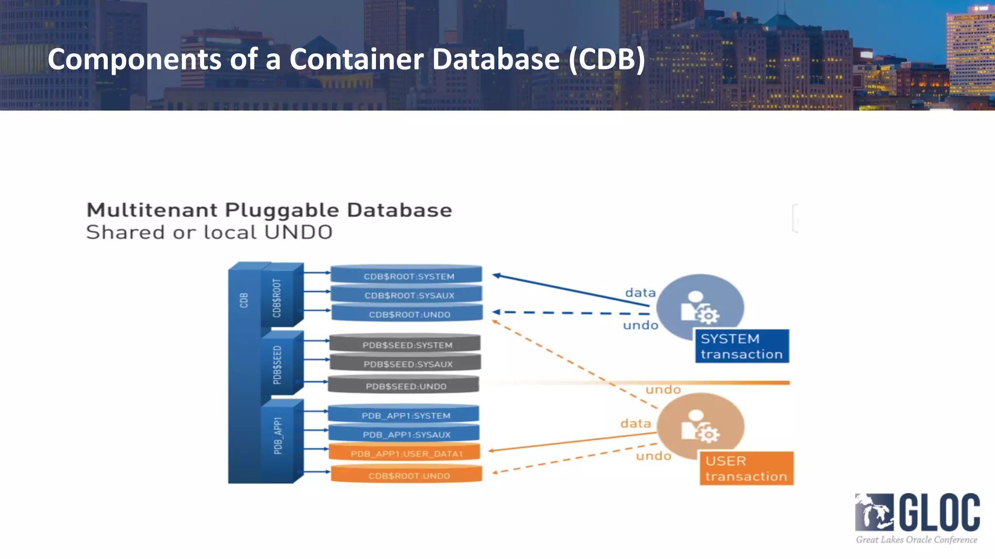 Components of a Container Database (CDB)
 