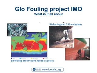www.icomia.org
Glo Fouling project IMO
What is it all about
 