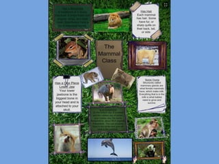 Glogster school board presentation