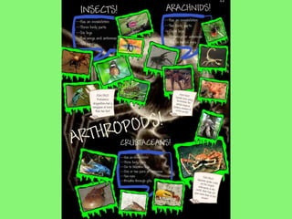 Glogster school board presentation