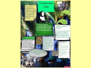 Glogster school board presentation