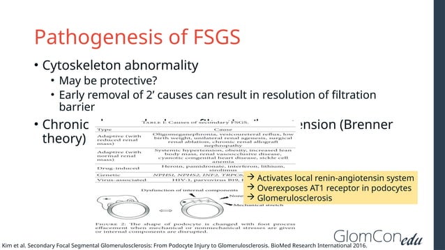 Glom Con: Basics of Focal Segmental Glomerulosclerosis (FSGS) | POTX