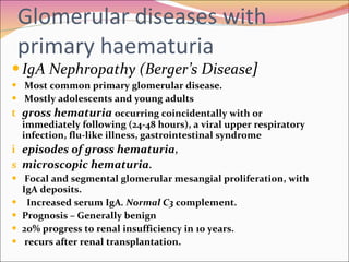 G lomerular diseases with primary haematuria IgA Nephropathy (Berger’s Disease ] Most common primary glomerular disease.  Mostly adolescents and young adults  gross hematuria  occurring coincidentally with or immediately following (24-48 hours), a viral upper respiratory infection, flu-like illness, gastrointestinal syndrome episodes of gross hematuria , microscopic hematuria .  Focal and segmental glomerular mesangial proliferation, with IgA deposits. Increased serum IgA . Normal C3  complement.  Prognosis – Generally benign  20% progress to renal insufficiency in 10 years. recurs after renal transplantation.  