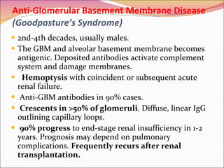 Anti-Glomerular Basement Membrane Disease  (Goodpasture’s Syndrome) 2nd-4th decades, usually males.  The GBM and alveolar basement membrane becomes antigenic. Deposited antibodies activate complement system and damage membranes. Hemoptysis  with coincident or subsequent acute renal failure.  Anti-GBM antibodies in 90% cases.  Crescents in >50% of glomeruli . Diffuse, linear IgG outlining capillary loops.  90% progress  to end-stage renal insufficiency in 1-2 years. Prognosis may depend on pulmonary complications.  Frequently recurs after renal transplantation.  
