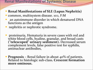 Renal Manifestations of Systemic Disease Renal Manifestations of SLE (Lupus Nephritis) common, multisystem disease. 10:1, F:M an autoimmune disorder in which denatured DNA functions as the antigen nephritis or nephrotic syndrome. proteinuria, Hematuria in severe cases with red and white blood cells, hyaline, granular, and broad casts  ("telescoped" urinary sediment).  Decreased serum complement levels, false positive test for syphilis, antinuclear antibodies,  Prognosis  – Renal failure in about 40% of patients. Related to histologic sub-class . Crescent formation more ominous.  
