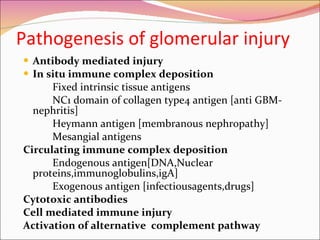 Pathogenesis of glomerular injury  Antibody mediated injury In situ immune complex deposition Fixed intrinsic tissue antigens  NC1 domain of collagen type4 antigen [anti GBM-nephritis] Heymann antigen [membranous nephropathy] Mesangial antigens  Circulating immune complex deposition Endogenous antigen[DNA,Nuclear  proteins,immunoglobulins,igA] Exogenous antigen [infectiousagents,drugs] Cytotoxic antibodies Cell mediated immune injury Activation of alternative  complement pathway 