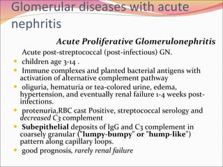 Glomerular diseases with acute nephritis Acute Proliferative Glomerulonephritis Acute post-streptococcal (post-infectious) GN.  children age 3-14 .  Immune complexes and planted bacterial antigens with  activation of alternative complement pathway oliguria, hematuria or tea-colored urine, edema,  hypertension, and eventually renal failure 1-4 weeks post-infections.  protenuria,RBC cast Positive, streptococcal serology and  decreased C3  complement  Subepithelial  deposits of IgG and C3 complement in coarsely granular  ("lumpy-bumpy" or "hump-like ") pattern along capillary loops.  good prognosis , rarely renal failure U 