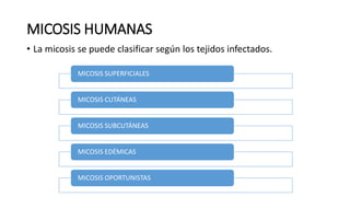 MICOSIS HUMANAS
• La micosis se puede clasificar según los tejidos infectados.
MICOSIS SUPERFICIALES
MICOSIS CUTÁNEAS
MICOSIS SUBCUTÁNEAS
MICOSIS EDÉMICAS
MICOSIS OPORTUNISTAS
 