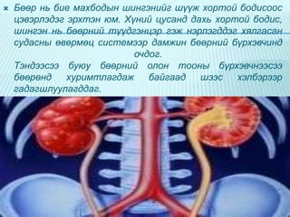 

Бөөр нь бие махбодын шингэнийг шүүж хортой бодисоос
цэвэрлэдэг эрхтэн юм. Хүний цусанд дахь хортой бодис,
шингэн нь бөөрний түүдгэнцэр гэж нэрлэгддэг хялгасан
судасны өвөрмөц системээр дамжин бөөрний бүрхэвчинд
очдог.
Тэндээсээ буюу бөөрний олон тооны бүрхэвчнээсээ
бөөрөнд
хуримтлагдаж
байгаад
шээс
хэлбэрээр
гадагшлуулагддаг.

 