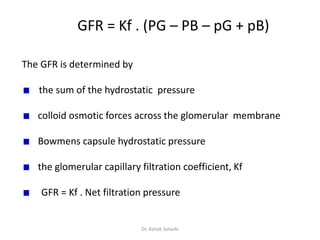 GFR = Kf . (PG – PB – pG + pB)
The GFR is determined by
the sum of the hydrostatic pressure
colloid osmotic forces across ...
