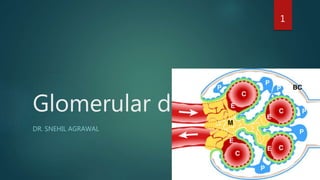 Glomerular diseases
DR. SNEHIL AGRAWAL
1
 