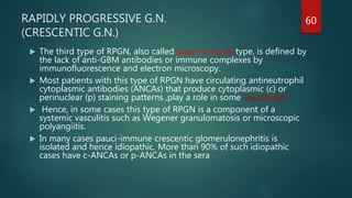 Rpgn Patterns Glomerular disease | PPTX