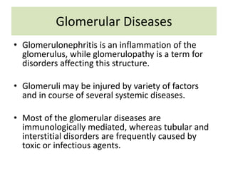 Glomerular Diseases
• Glomerulonephritis is an inflammation of the
glomerulus, while glomerulopathy is a term for
disorders affecting this structure.
• Glomeruli may be injured by variety of factors
and in course of several systemic diseases.
• Most of the glomerular diseases are
immunologically mediated, whereas tubular and
interstitial disorders are frequently caused by
toxic or infectious agents.
 