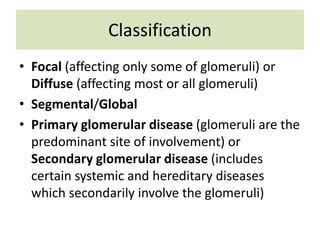 Classification
• Focal (affecting only some of glomeruli) or
Diffuse (affecting most or all glomeruli)
• Segmental/Global
• Primary glomerular disease (glomeruli are the
predominant site of involvement) or
Secondary glomerular disease (includes
certain systemic and hereditary diseases
which secondarily involve the glomeruli)
 