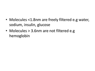 • Molecules <1.8nm are freely filtered e.g water,
sodium, insulin, glucose
• Molecules > 3.6nm are not filtered e.g
hemoglobin
 