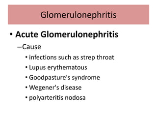 • Acute Glomerulonephritis
–Cause
• infections such as strep throat
• Lupus erythematous
• Goodpasture's syndrome
• Wegener's disease
• polyarteritis nodosa
Glomerulonephritis
 