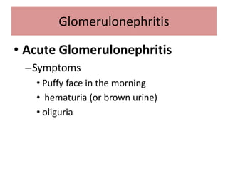 • Acute Glomerulonephritis
–Symptoms
• Puffy face in the morning
• hematuria (or brown urine)
• oliguria
Glomerulonephritis
 