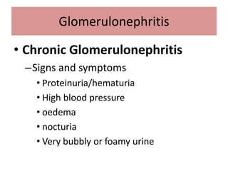 • Chronic Glomerulonephritis
–Signs and symptoms
• Proteinuria/hematuria
• High blood pressure
• oedema
• nocturia
• Very bubbly or foamy urine
Glomerulonephritis
 