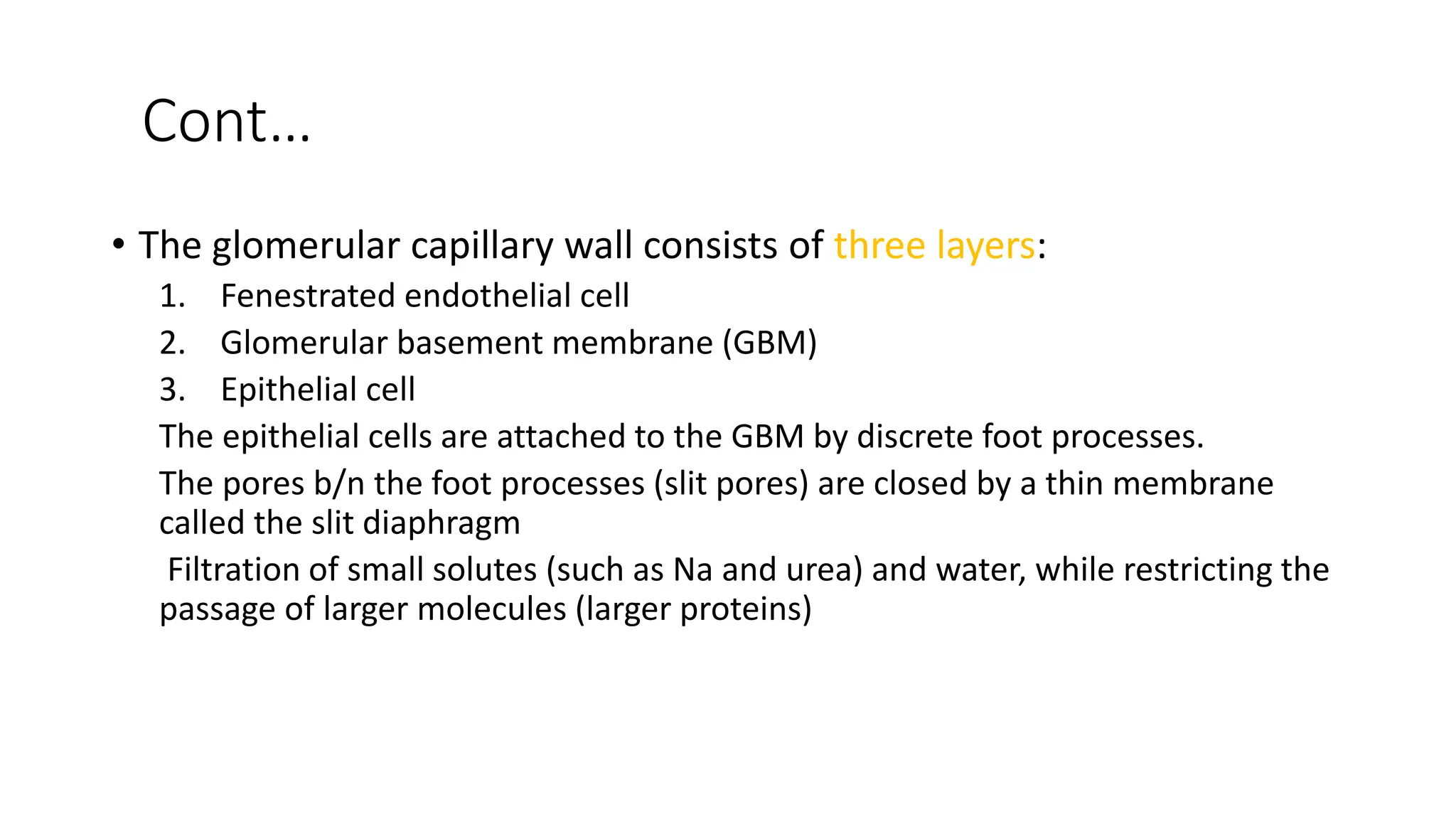 Cont…
• The glomerular capillary wall consists of three layers:
1. Fenestrated endothelial cell
2. Glomerular basement membrane (GBM)
3. Epithelial cell
The epithelial cells are attached to the GBM by discrete foot processes.
The pores b/n the foot processes (slit pores) are closed by a thin membrane
called the slit diaphragm
Filtration of small solutes (such as Na and urea) and water, while restricting the
passage of larger molecules (larger proteins)
 