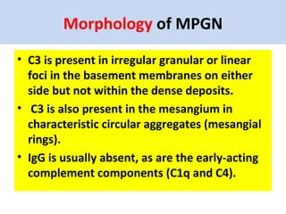 Glomerular diseases | PPT