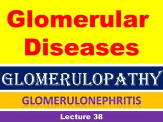 Glomerular
Diseases
Lecture 38
Glomerulopathy
 