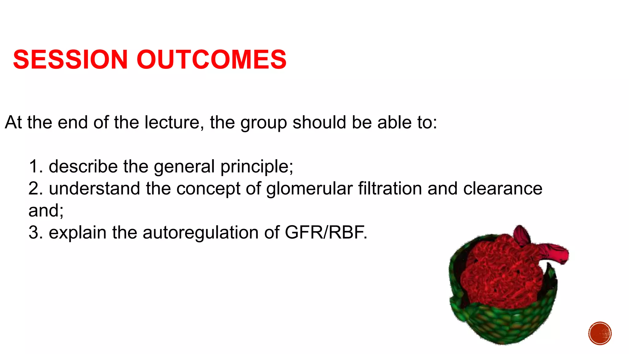 Glomerular filtration rate and renal blood flow | PPTX