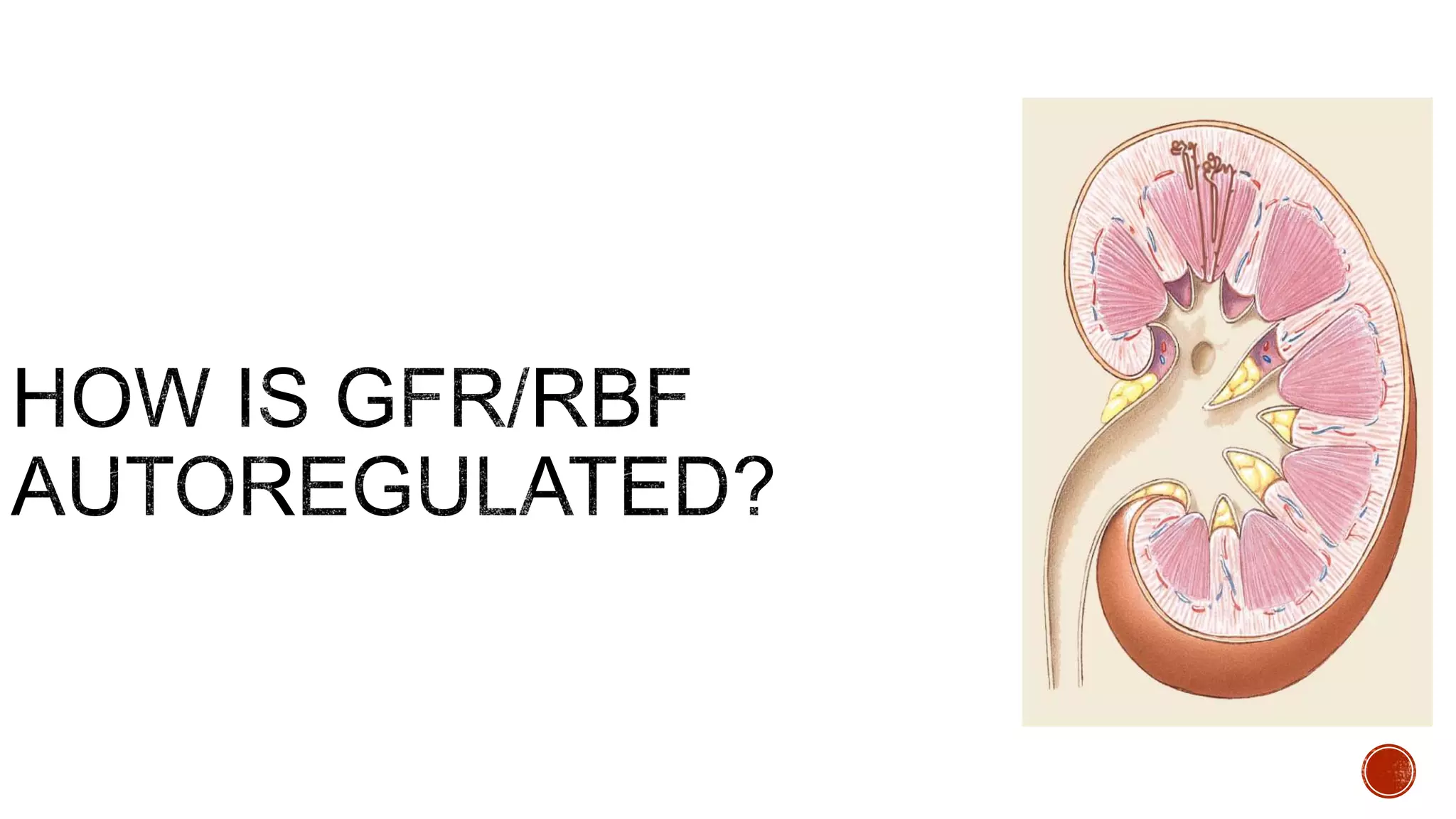 Glomerular filtration rate and renal blood flow | PPTX