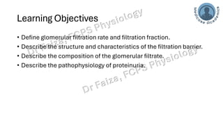 Glomerular Filtration Rate, Renal Blood Flow | PDF