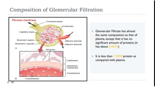 Glomerular Filtration, Renal Blood Flow. | PPTX