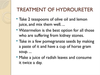 GLOMERULAR NEPHRITIS URETHRAL STRICTURE HYDRONEPHROSIS HYDROURETER pptx glomerular-nephritis-urethral-stricture-hydronephrosis-hydroureter-pptx